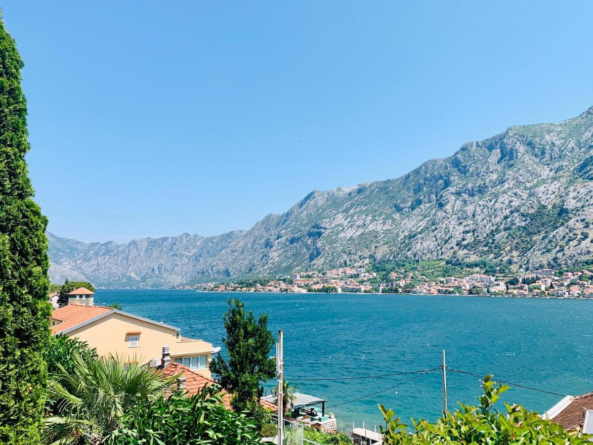 Kotor Muo Apartments A1 Exteriér fotografie